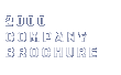 2000 COMPANY BROCHURE